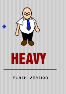 flash version